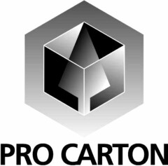 PRO CARTON