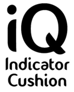 iQ Indicator Cushion