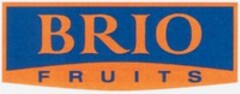 BRIO FRUITS