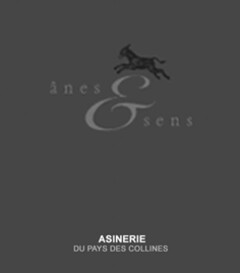 ÂNES & SENS ASINERIE DU PAYS DES COLLINES