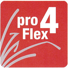 pro Flex 4