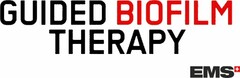 GUIDED BIOFILM THERAPY EMS
