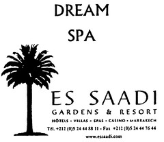 DREAM SPA ES SAADI GARDENS & RESORT