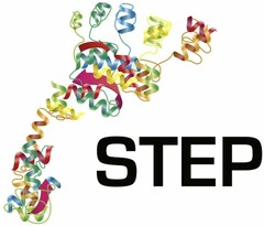 STEP