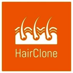 HairClone