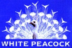 WHITE PEACOCK