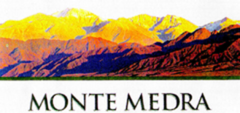 MONTE MEDRA Logo (DPMA, 29.06.2000)