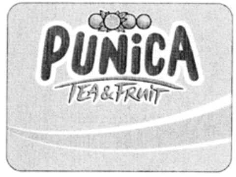 PUNICA TEA&FRUIT Logo (DPMA, 09/02/2000)