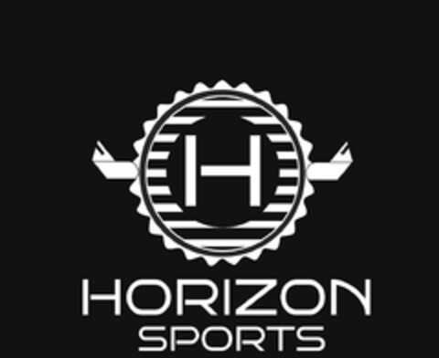 HORIZON SPORTS Logo (DPMA, 03/25/2020)