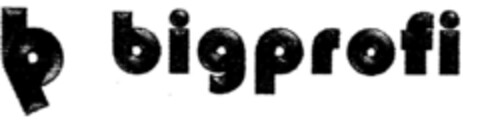 bigprofi Logo (DPMA, 08/31/2001)