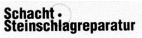 Schacht.Steinschlagreparatur Logo (DPMA, 17.04.1998)