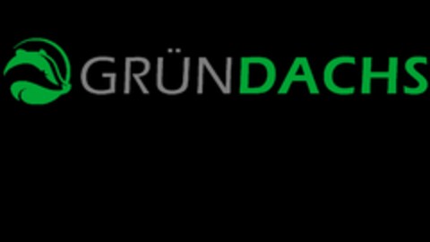 GRÜNDACHS Logo (DPMA, 08/22/2024)