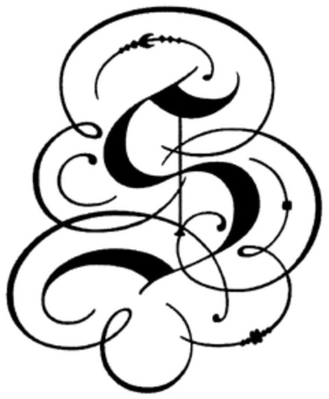 S Logo (DPMA, 27.02.2007)