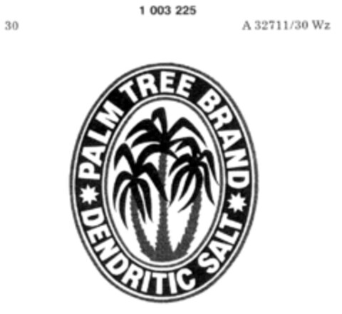 PALM TREE BRAND DENDRITIC SALT Logo (DPMA, 10/25/1979)