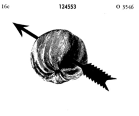 124553 Logo (DPMA, 13.08.1909)