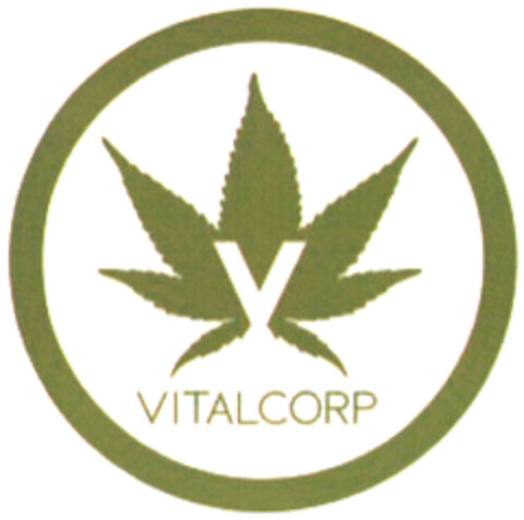 V VITALCORP Logo (DPMA, 03.12.2021)