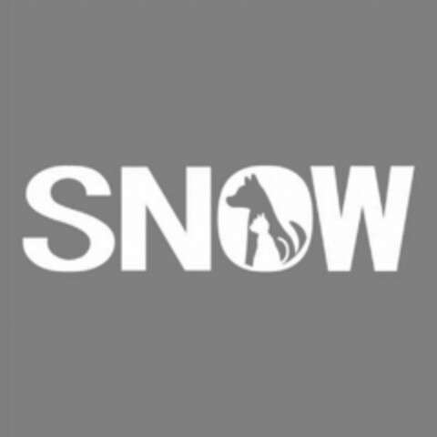 SNOW Logo (DPMA, 06.08.2020)