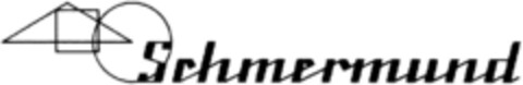 SCHMERMUND Logo (DPMA, 12/20/1991)