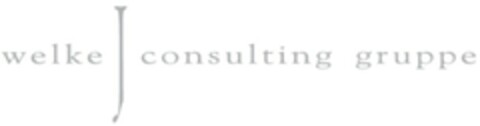 welke consulting gruppe Logo (DPMA, 27.10.2009)