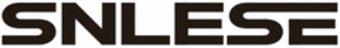 SNLESE Logo (DPMA, 05.07.2023)