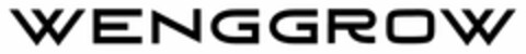 WENGGROW Logo (DPMA, 21.02.2025)