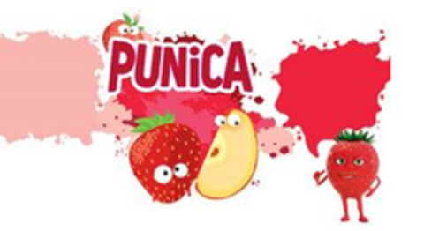 PUNiCA Logo (DPMA, 06.02.2019)