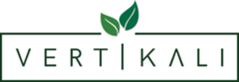 VERTIKALI Logo (DPMA, 10.09.2020)