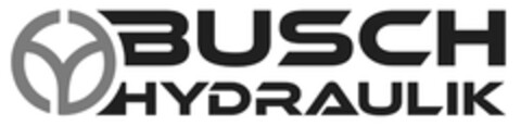 BUSCH HYDRAULIK Logo (DPMA, 28.08.2021)