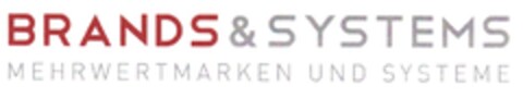 BRANDS & SYSTEMS Logo (DPMA, 14.02.2014)