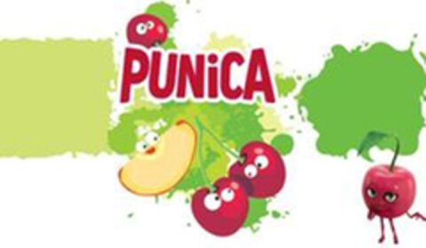 PUNiCA Logo (DPMA, 02/06/2019)