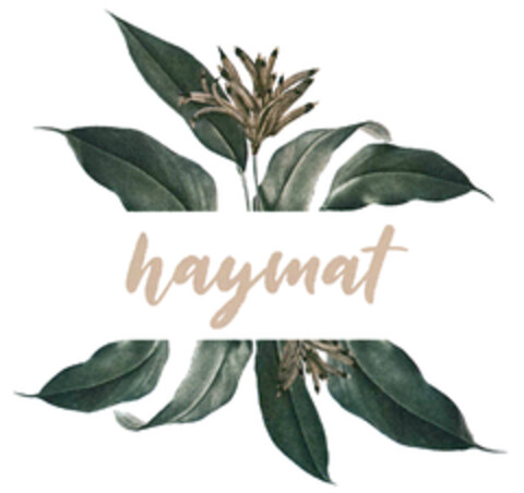 haymat Logo (DPMA, 17.07.2019)