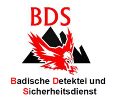 BDS Badische Detektei und Sicherheitsdienst Logo (DPMA, 04.02.2016)