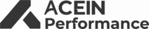 ACEIN Performance Logo (DPMA, 15.05.2024)