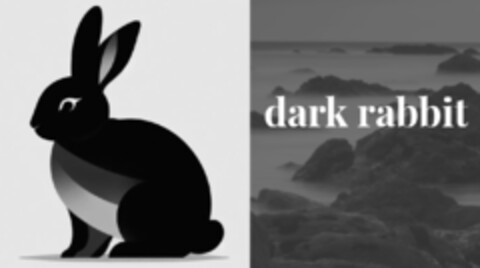 dark rabbit Logo (DPMA, 31.05.2024)
