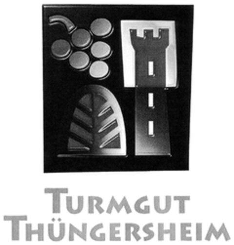 TURMGUT THÜNGERSHEIM Logo (DPMA, 06.09.2007)