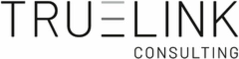 TRUELINK CONSULTING Logo (DPMA, 07/23/2020)