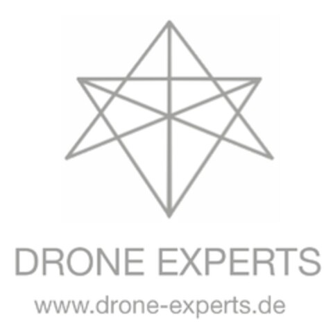 DRONE EXPERTS www.drone-experts.de Logo (DPMA, 13.04.2016)
