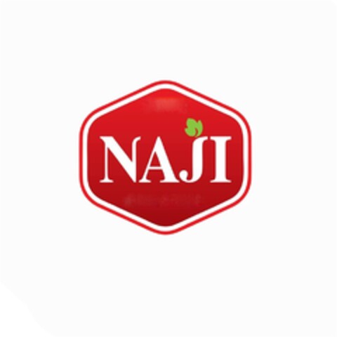 NAJI Logo (DPMA, 26.02.2018)