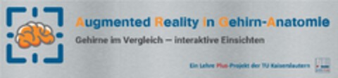 Augmented Reality in Gehirn-Anatomie  Gehirne im Vergleich - interaktive Einsichten - Ein Lehre Plus-Projekt der TU Kaiserslautern Logo (DPMA, 17.05.2021)