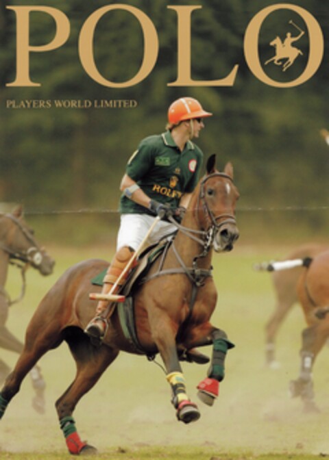 POLO PLAYERS WORLD LIMITED Logo (DPMA, 06/21/2004)