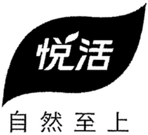 302011039733 Logo (DPMA, 20.07.2011)