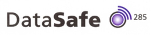 DataSafe 285 Logo (DPMA, 31.03.2009)
