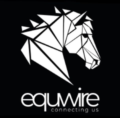 equwire connecting us Logo (DPMA, 05.07.2021)