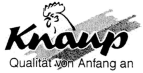 Knaup Qualität von Anfang an Logo (DPMA, 08.07.1999)