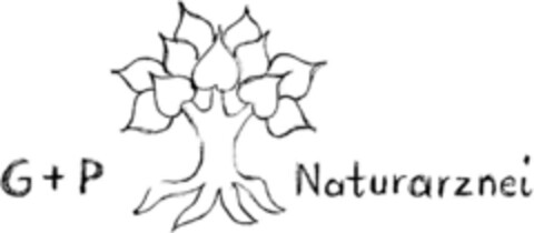 G+P Naturarznei Logo (DPMA, 12/21/1993)