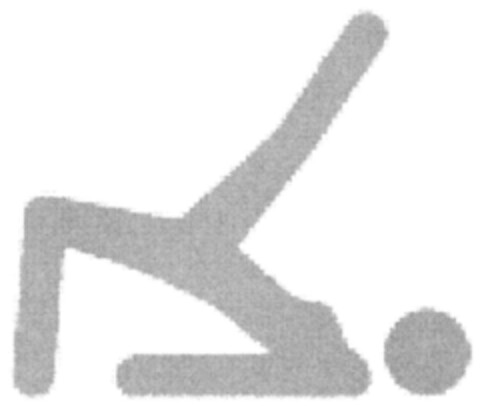 302009035263 Logo (DPMA, 18.06.2009)