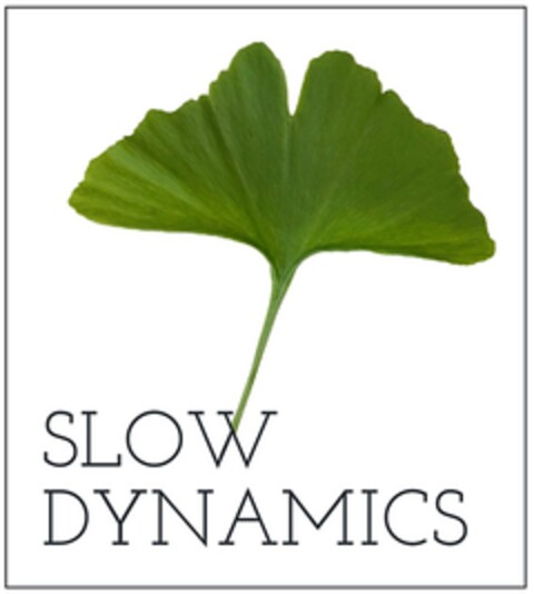 SLOW DYNAMICS Logo (DPMA, 05/21/2019)