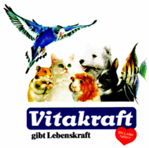 Vitakraft gibt Lebenskraft Logo (DPMA, 06/11/2001)