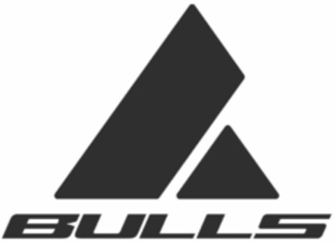 BULLS Logo (DPMA, 01/24/2020)