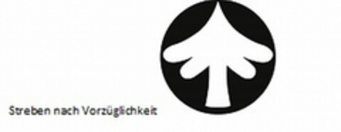 Streben nach Vorzüglichkeit Logo (DPMA, 18.01.2021)